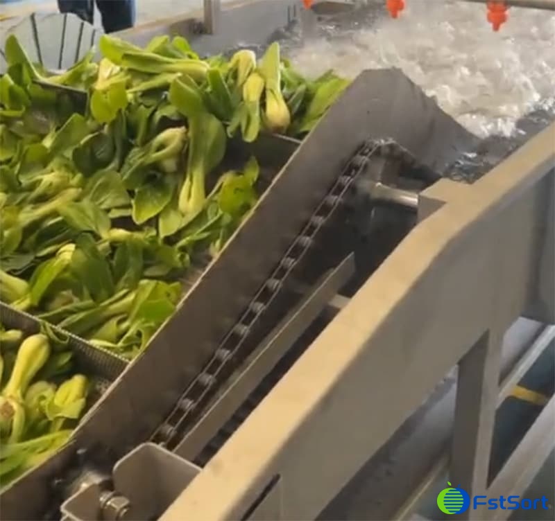 images/1752828066389Washing and drying green leafy vegetables.jpg